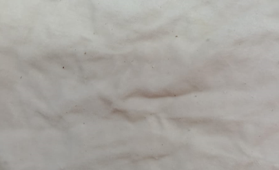 Cotton Velvet White 63