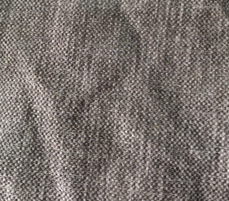 R-Venue Bark/F1719
